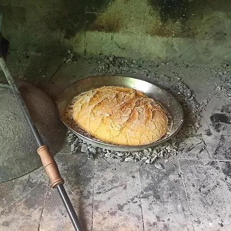 House * Rijeka