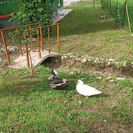 Σαλέ House Ριέκα