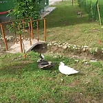 Chalet House Rijeka