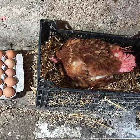 House Horská chata Rijeka