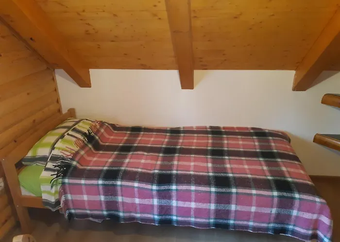 House 木屋