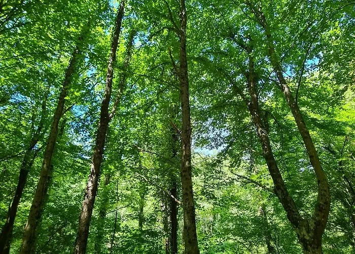 شاليه House غييكا